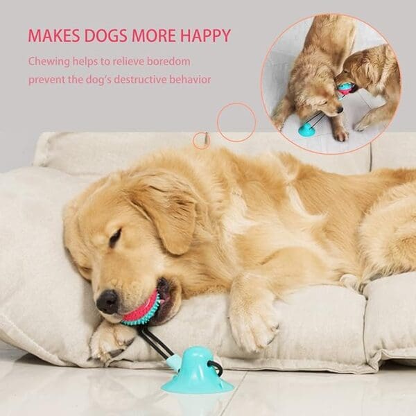 A dog chewing on a toy while laying down.