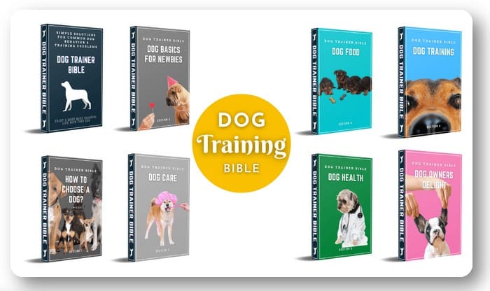 A series of books about dogs and their owners.