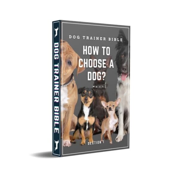 A book cover with dogs and their owners