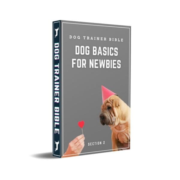 A book cover with a dog wearing a party hat.