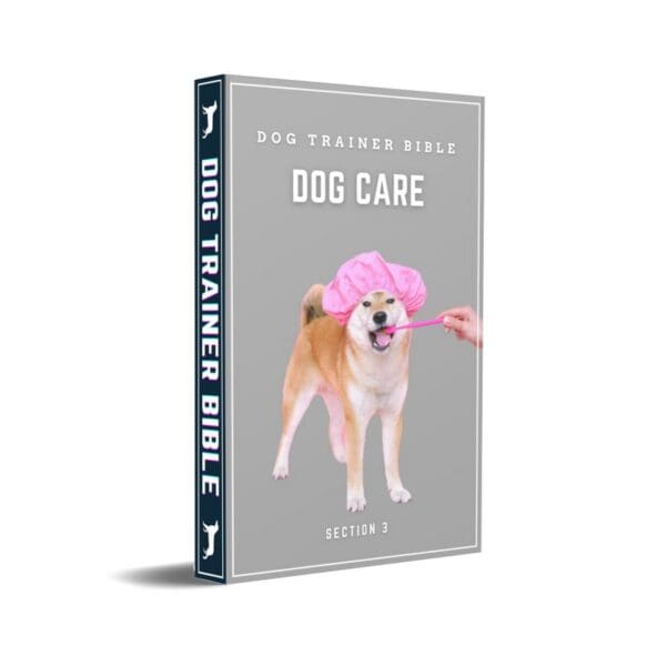 A book cover with a dog wearing a pink hat.