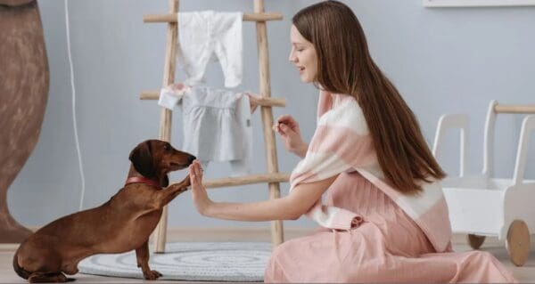 A woman and her dog are playing with each other.